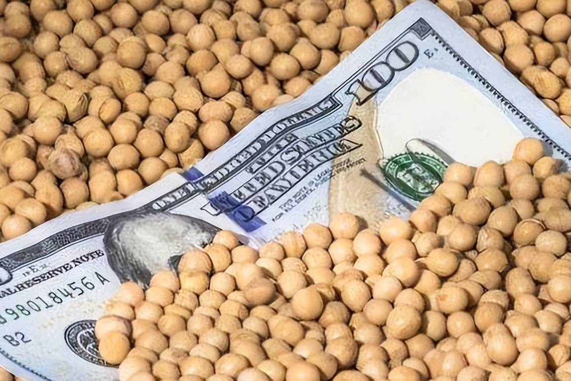 واردات مصر من فول الصويا الأمريكي تسجل 2.35 مليون طن منذ بداية الموسم - أموال الغد