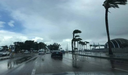 طقس الشرقية اليوم السبت: حار نهارا مائل للبرودة ليلًا.. والمحافظ يرفع درجة الاستعداد القصوى