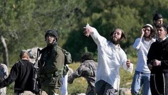 الضفة.. مستوطنون يصيبون فلسطينيا ويهاجمون ممتلكات ومنازل