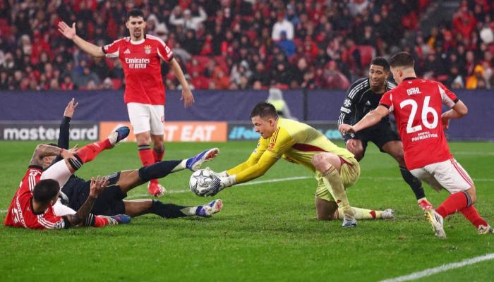 موعد مباراة ريال مدريد وبنفيكا في دوري أبطال أوروبا 2026