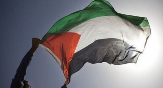 قطر تجدد موقفها الداعم للقضية الفلسطينية في بيان بمقر الأمم المتحدة