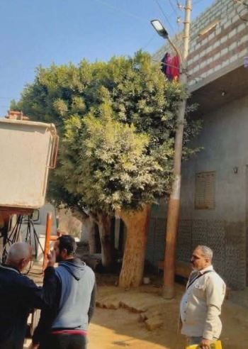 غدا.. فصل التيار الكهربائي 3 ساعات عن عدة مناطق في بني سويف للصيانة