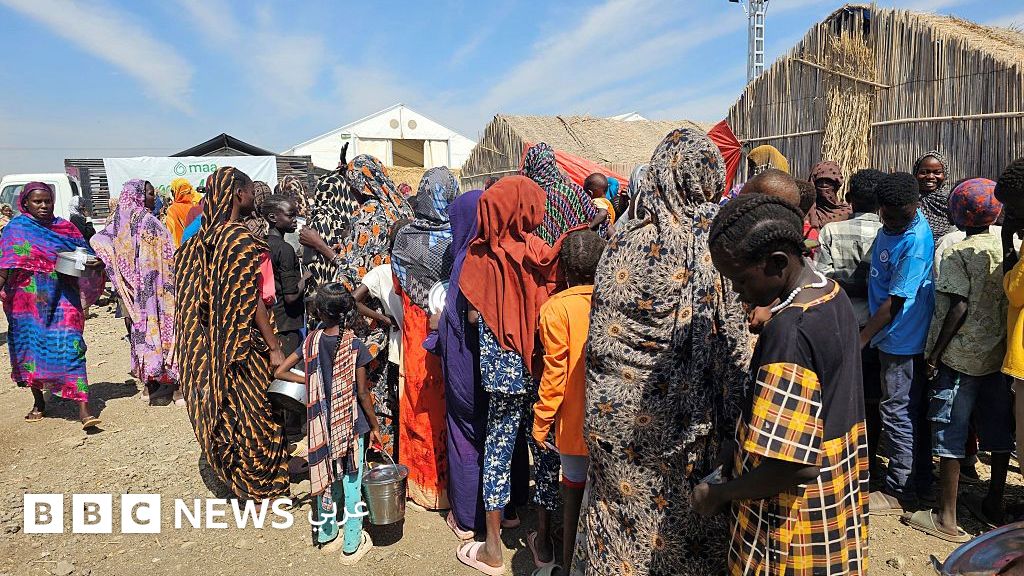 السودان: كيف يمكن وقف المجاعة في ظل الاعتداء على قوافل الإغاثة؟ - BBC News عربي