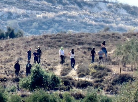 فلسطين.. مستعمرون يدمرون مغارة جنوب المغير ويقتحمون أراضي المزارعين في سنجل