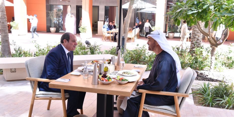 الرئيس السيسى ونظيره الإماراتى يؤكدان على ضرورة التنفيذ الكامل لاتفاق وقف الحرب فى غزة - صوت الأمة