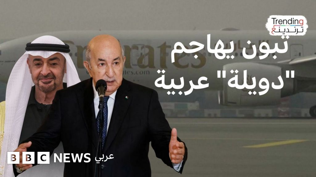 عبد المجيد تبون ينتقد "دويلة" تتدخل في شؤون بلاده.. فكيف فسر المتابعون تصريحاته؟ - BBC News عربي