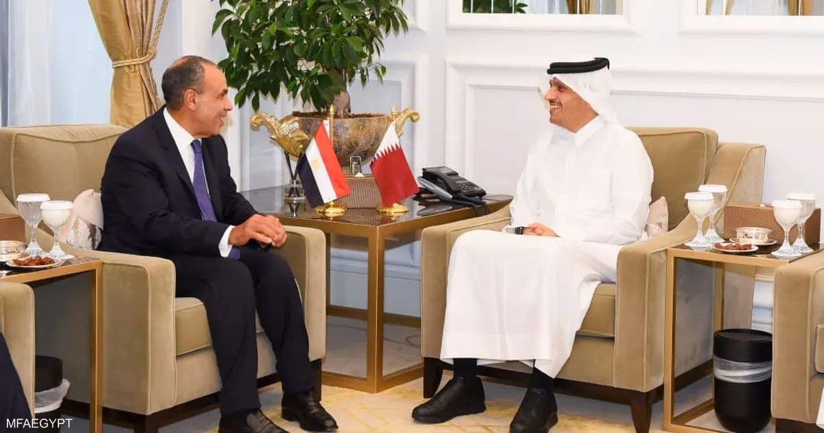 أمير قطر يلتقي وزير الخارجية المصري لبحث التطورات في المنطقة