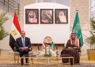 وزير الخارجية ونظيره السعودي يبحثان جهود خفض حدة التصعيد بالمنطقة