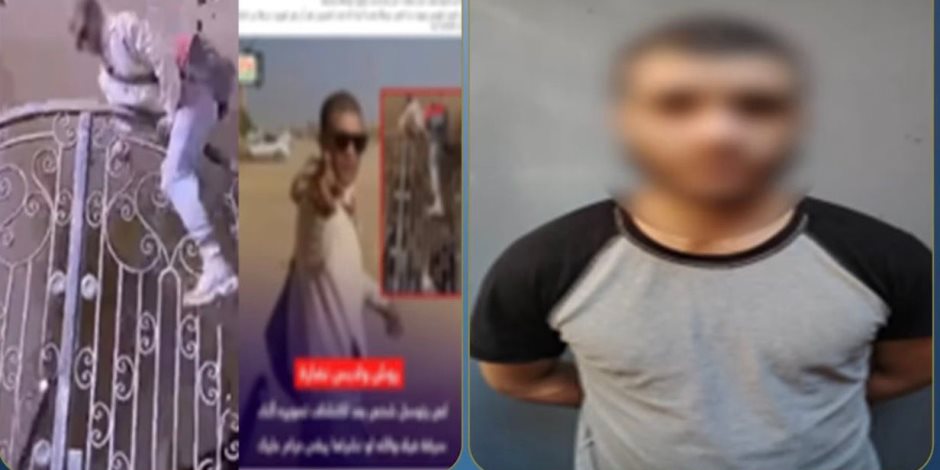 الداخلية: فيديو قفز لص من أعلى باب عقار تحت الإنشاء قديم والمتهم محبوس من نوفمبر الماضي - صوت الأمة