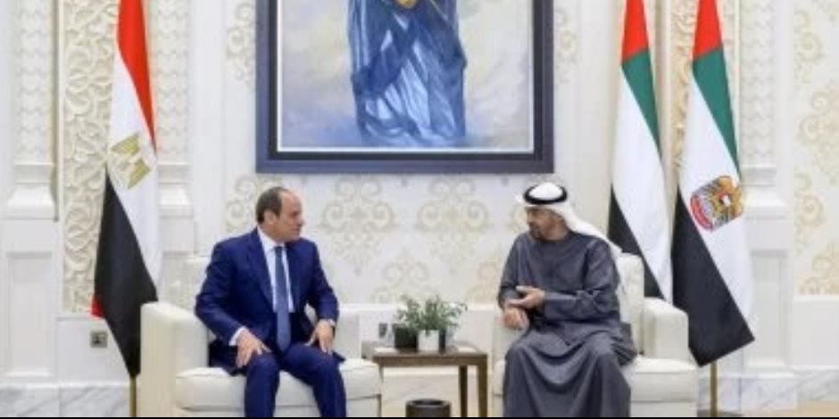مصر فى مواجهة التصعيد .. القاهرة تدين الاعتداءات وتعلن أمن الخليج قضيتها الأولى - صوت الأمة
