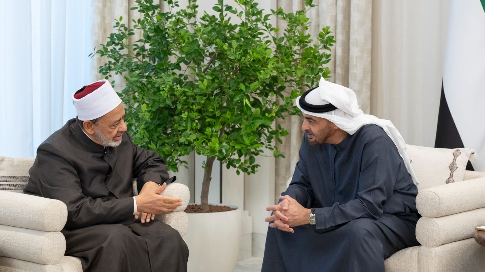 شيخ الأزهر يستنكر الاعتداءات الإيرانية السافرة على أراضي الإمارات والدول العربية