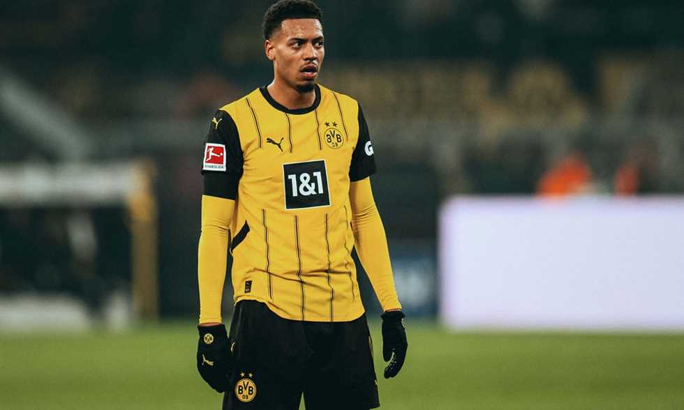 سكاي: مانشستر سيتي يراقب فيليكس نميتشا لاعب دورتموند