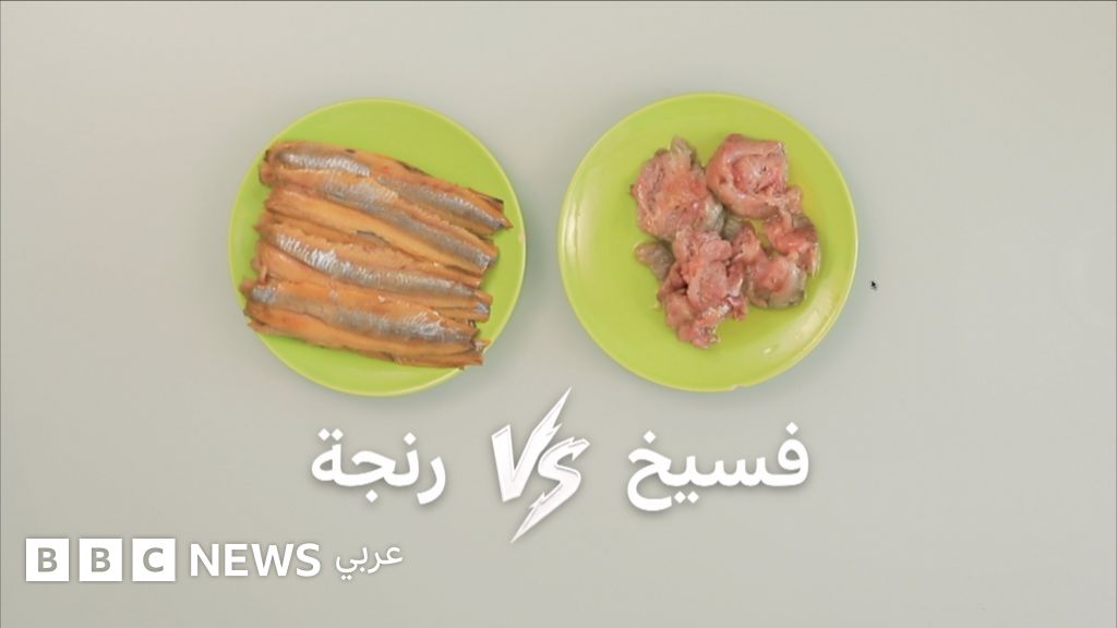 شم النسيم: الفسيخ أم الرنجة جدل ذو رائحة نفاذة - BBC News عربي