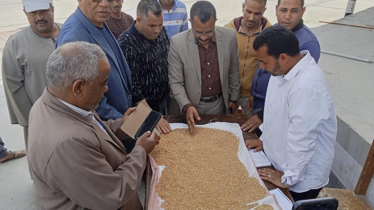 محافظ المنيا يعلن استلام أكثر من 9 آلاف طن قمح