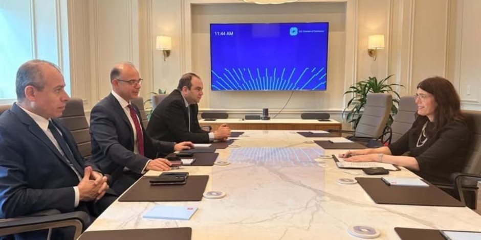 وزير الاستثمار يبحث مع شركة MetLife التأمين الرقمي وتعزيز الشراكة بالسوق المصري - صوت الأمة