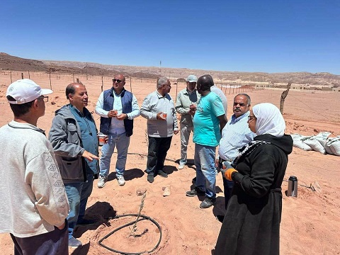 بعد تعرضه لسيول جارفة.. وفد خبراء مركز بحوث الصحراء يتفقد مزارع تجمع وادي سعال بكاترين