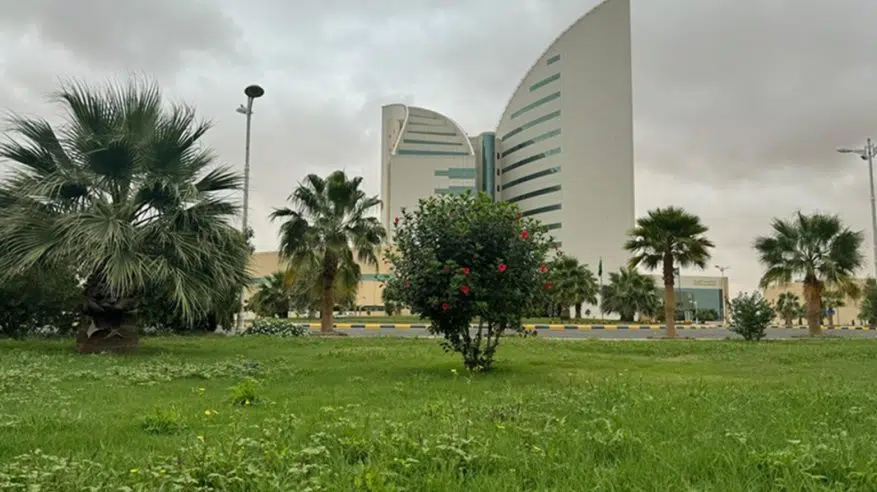 فتح باب التقديم على منح البكالوريوس والماجستير بجامعة نجران