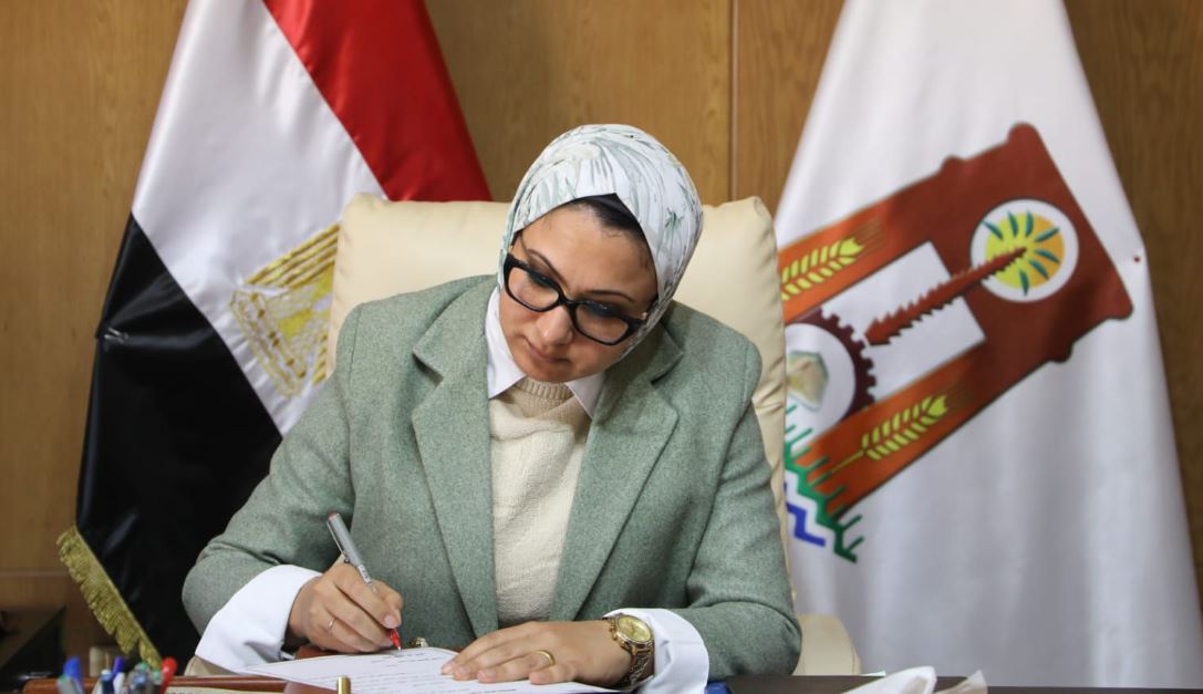 الوادي الجديد: إرجاء تنفيذ قرار مديرية التربية والتعليم بشأن التجديد وعدم التجديد لوظائف الإدارة المدرسية والتوجيه الفني