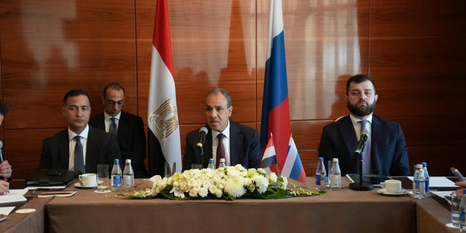 وزير الخارجية: 3 مشروعات روسية كبرى في مصر تسير بشكل جيد الآن - صوت الأمة
