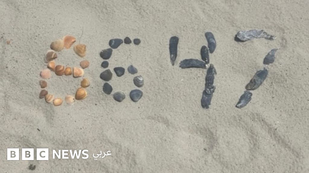  جيمس كومي: مدير مكتب التحقيقات الفيدرالي الأمريكي السابق "إف بي آي" يسلم نفسه لاتهامه بتهديد حياة ترامب من خلال منشور له على إنستغرام - BBC News عربي