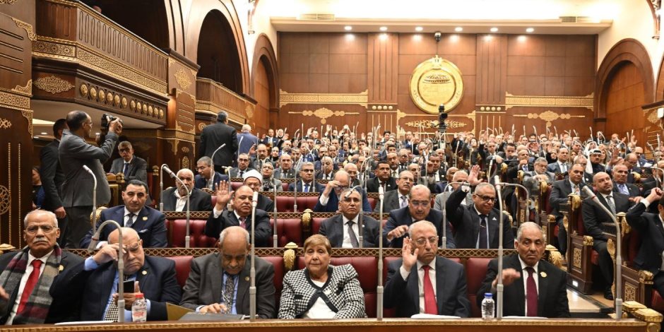 النائبة يوستينا رامي: قانون حماية المنافسة يعيد رسم العلاقة بين الدولة والسوق.. ويحمي المواطن والمستثمر - صوت الأمة