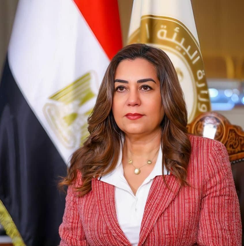 صندوق التنمية المحلية يمول 1338 مشروعًا بقيمة 22.4 مليون جنيه خلال 9 أشهر | أموال الغد