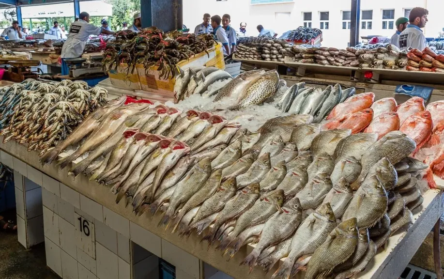 من البلطي للجمبري.. أحدث أسعار الأسماك في أسواق بنها اليوم