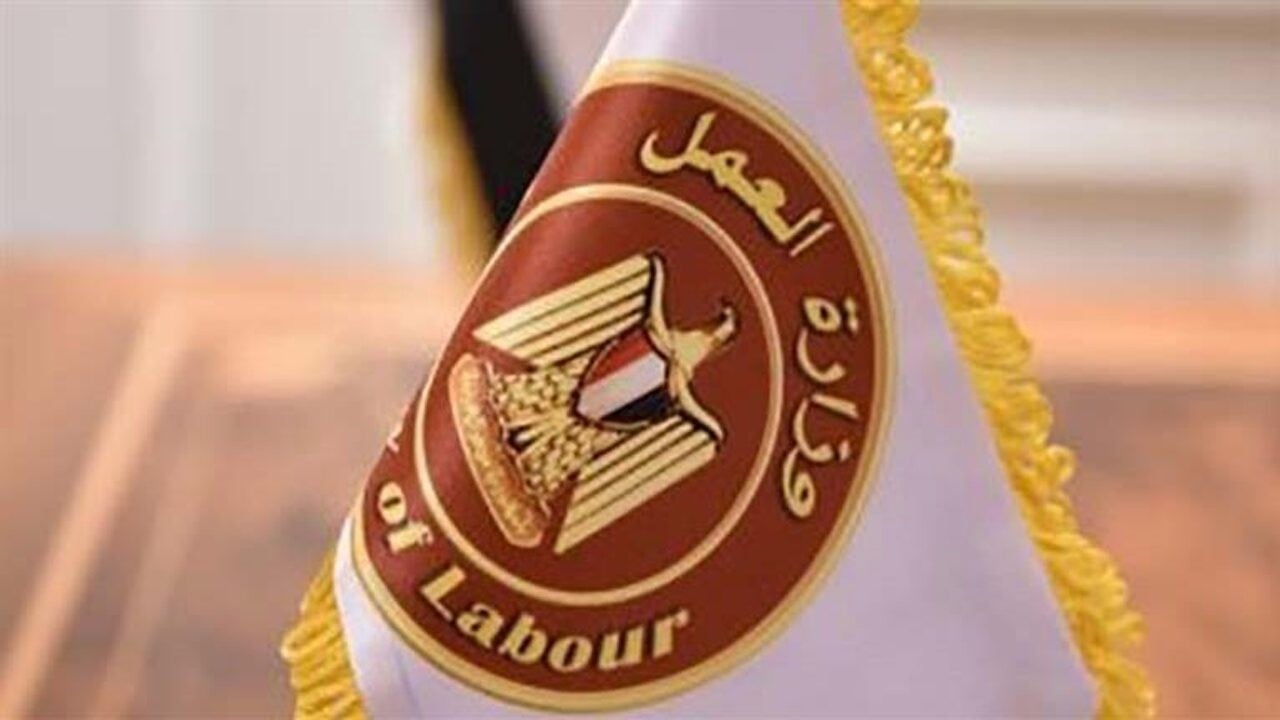 فرص عمل برواتب 10 آلاف جنيه .. تفاصيل 495 وظيفة أمن وحراسة من وزارة العمل