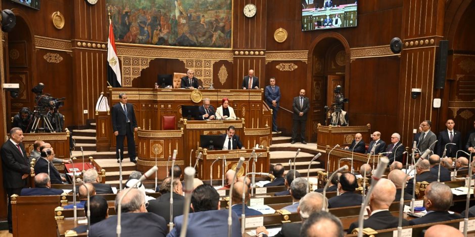خارجية الشيوخ تناقش تعزيز العلاقات المصرية الأفريقية غدا - صوت الأمة