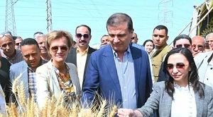 وزير الزراعة: مشروع كافي يمثل أحد النماذج لرفع كفاءة عمليات حصاد القمح