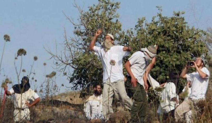الضفة.. مستوطنون يقيمون بؤرة استيطانية جديدة ويعتدون على 3 فلسطينيين