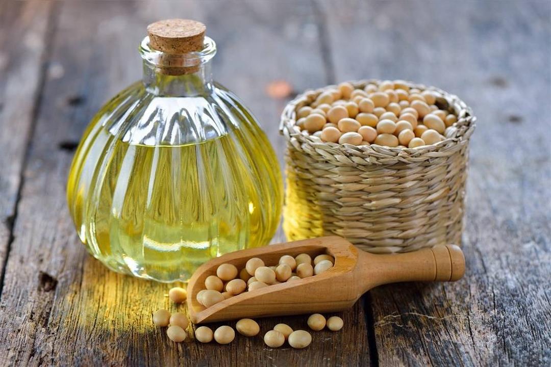 بالقيمة المضافة.. مصر تقفز إلى المركز 13 عالميًا في صادرات زيت فول الصويا | أموال الغد