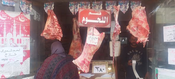 الإسكندرية تستعد لعيد الأضحى بطرح لحوم ودواجن بأسعار تنافسية وتشكيل غرفة عمليات