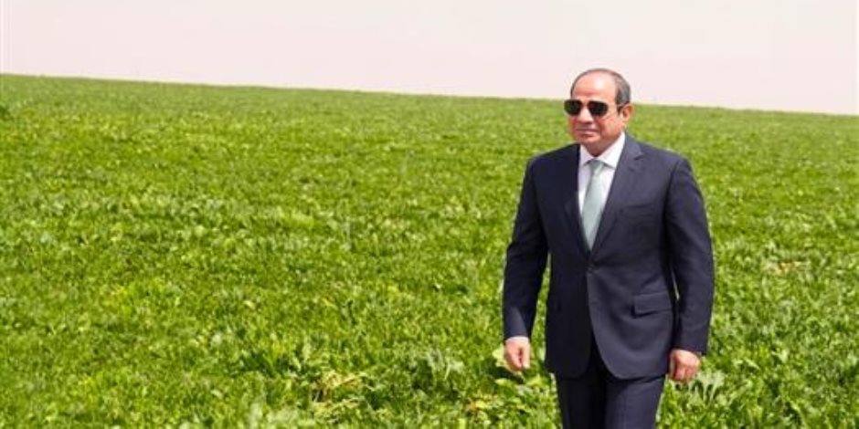 رئيس زراعة الشيوخ: مشروع الدلتا الجديدة يوفر مليونى فرصة عمل - صوت الأمة