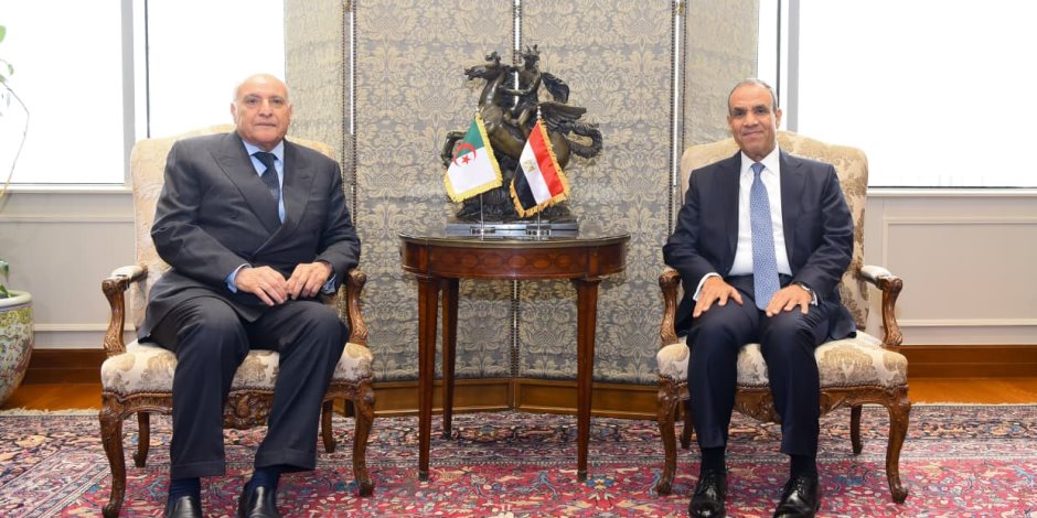 تحرك مصرى جزائرى عاجل بشأن ليبيا.. دعم للانتخابات ورفض التدخلات الخارجية - صوت الأمة