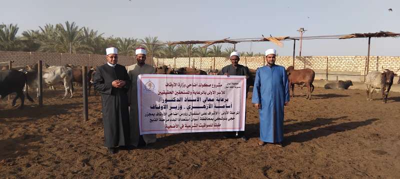 الأوقاف تتابع تجهيز الأضاحي بمجازر أبو سمبل استعدادا لعيد الأضحى