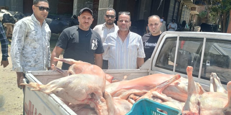 خلال إجازة عيد الأضحى.. ضبط 10 آلاف كجم من اللحوم ومصنعات الدواجن الفاسدة بالجيزة - صوت الأمة