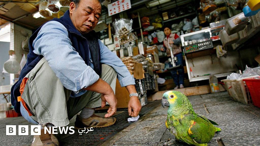 List Sport