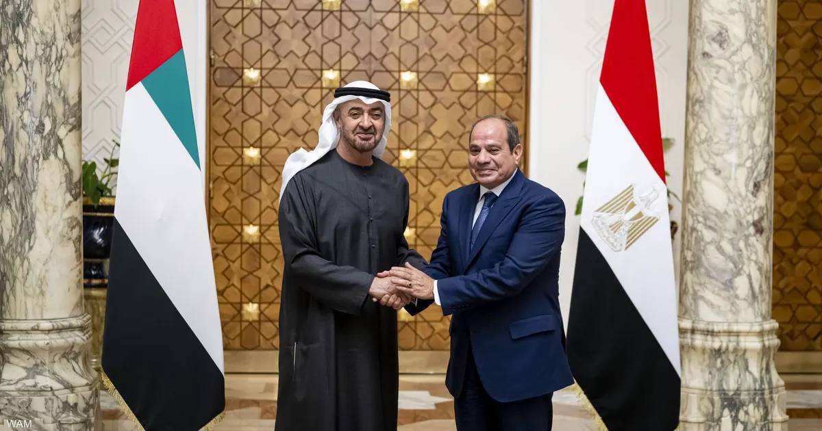 رئيس دولة الإمارات يلتقي الرئيس المصري على هامش قمة إيفيان