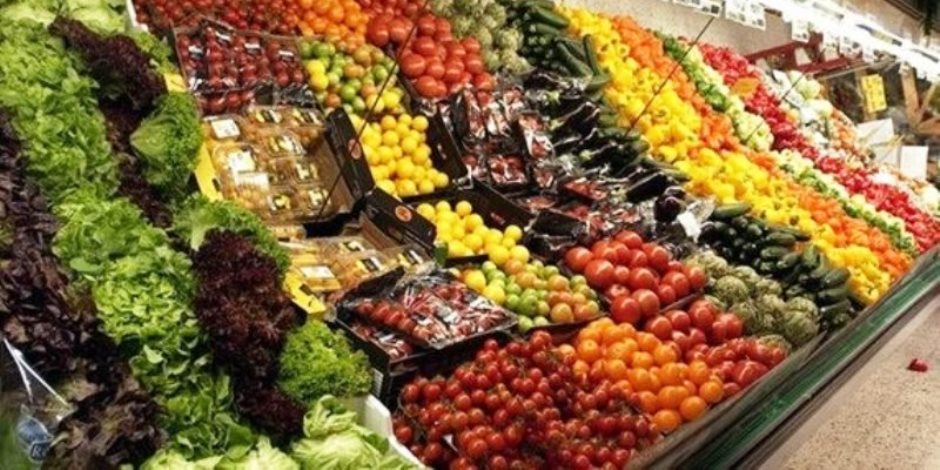 وزير الزراعة: قفزة تاريخية فى الصادرات الزراعية المصرية بزيادة تجاوزت 300% - صوت الأمة