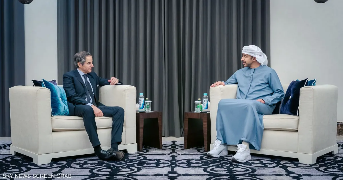 عبدالله بن زايد يستقبل المدير العام للوكالة الدولية للطاقة الذرية