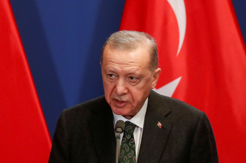 أردوغان: نطور علاقاتنا مع الدول الإفريقية على أساس الشراكة المتساوية