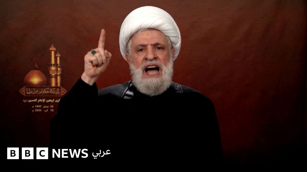 حزب الله يرفض اتفاق وقف إطلاق النار بين إسرائيل ولبنان ويصفه بأنه "استسلام وهزيمة" - BBC News عربي