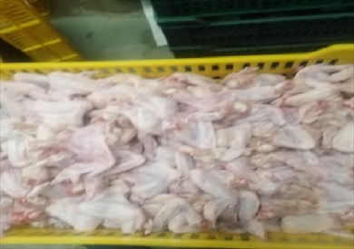 ضبط نصف طن دواجن فاسدة ببورسعيد