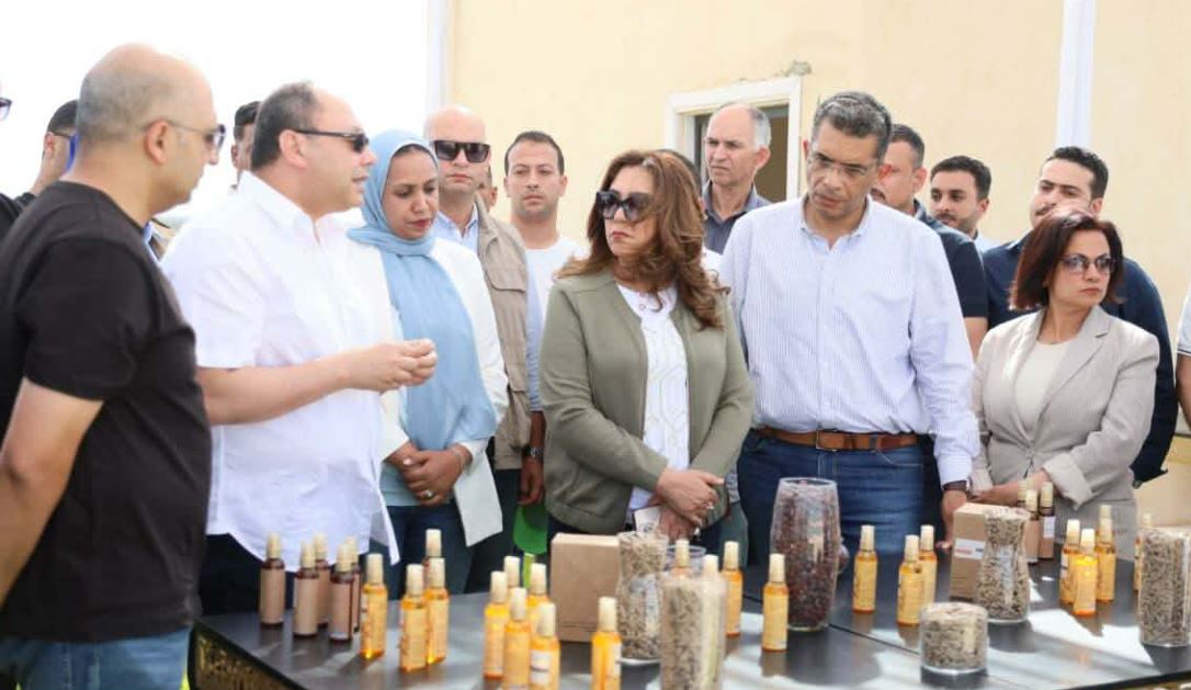 منال عوض ومحافظ البحر الأحمر ورئيس هيئة تنمية الصعيد يتفقدون مشروع زراعة نبات الجوجوبا بالغردقة