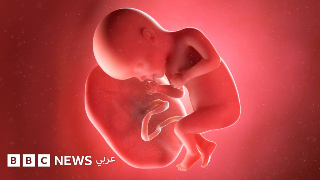 المشيمة البشرية: نفايات طبية أم علاج معجزة؟ - BBC News عربي