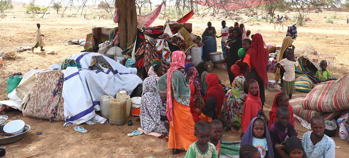 مقرر أممي: ما يحدث في السودان قد يرقى إلى جرائم دولية.. والدعم السريع يتحمل مسئولية الانتهاكات